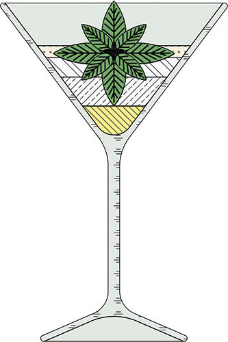 Elderberry-Martini
